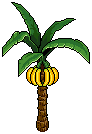 Banana Tree