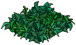 Lost Tribe Leafy Bush