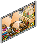 Pet Shop Window
