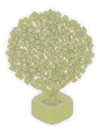 Yellow Holo Tree