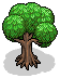 Miniature Tree