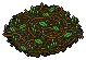 RIP Monster Plant