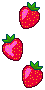 Hanging Strawberries