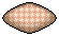 Regular Nest