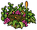 Rhino Nest