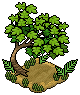 Turtle Tree