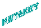 Metakey Light Fixture