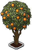 nft_eco_tree1 name