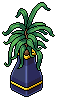 Indigo X Plant