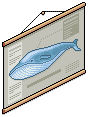 Educational Poster