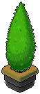 Forge Juniper