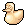 White Chocolate Duck