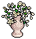 White Peruvian Lilies