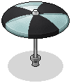 Rare Black Parasol