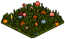 Autumnal Petal Patch