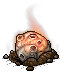 Flaming Comet