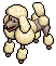 Cute Poodle