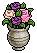 Pot of Roses