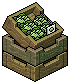 Cabbage Stall