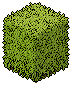 pcnc_shrub name