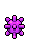 Pet Ball