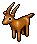 Chocolate Gazelle