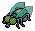 The Fly
