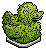 Grass Duck