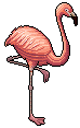 Flamingo