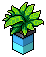 Blue Base Plant