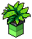 green Base Plant