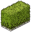 Maze Shrubbery