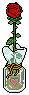 Red Rose