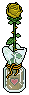 Yellow Rose