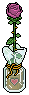 Pink Rose