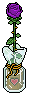Purple Rose