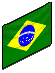 The Brazilian Flag