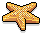Star Fish