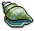 Trumpet Shell