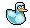 Plain Icy Duck
