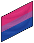 Pride Flags