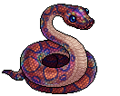 Rainbow Boa