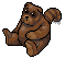 Little Raccoon