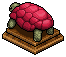 Scarlet Tortoise