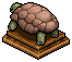 Beige Tortoise