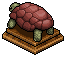Brown Tortoise