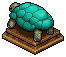 Turquoise Tortoise