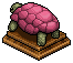 Pink Tortoise