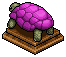 Purple Tortoise