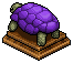 Mauve Tortoise